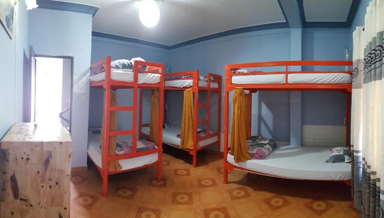 Tiny Tigers Hostel Да Лат Екстериор снимка