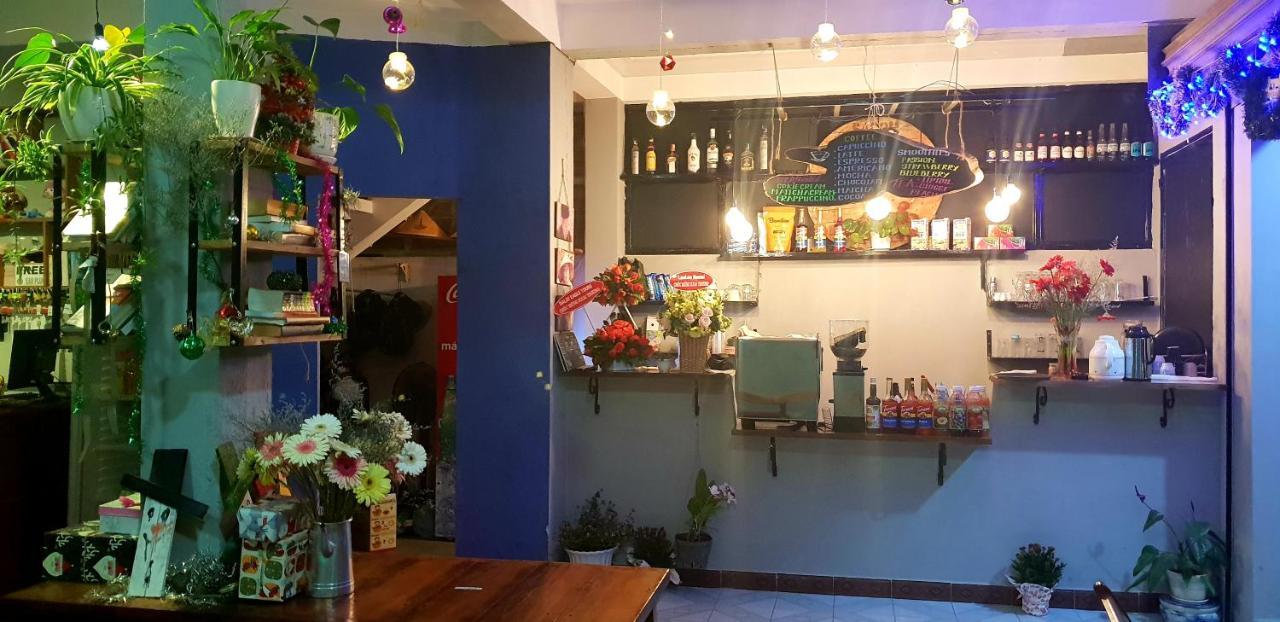 Tiny Tigers Hostel Да Лат Екстериор снимка